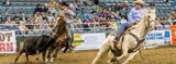 A Mares Behavioral Problems, Solved