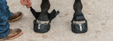 How to Measure for Horse Hoof Boots