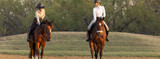 QA with Wintec Saddles