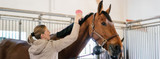 The 10 Horse Supplies You Need Before Your Horse Comes Home
