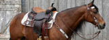Western Saddle Fitting 101: Pads, Cinches and Proper Fit Tips