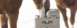 Automatic Waters: Good For You, Your Horse, and Your Environment