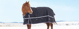 How to Pick the Best Winter Blanket for Your Horse