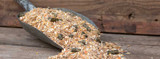 Digestive Supplements: An Overview