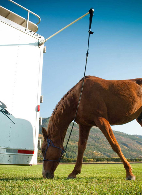 HiTie Trailer Tie System