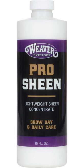 16 fl oz
