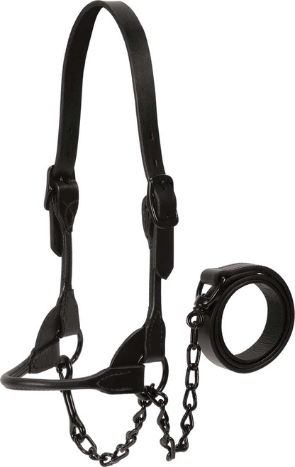 XS (350-700 lb)