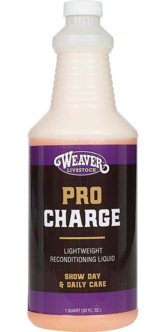 1 quart
