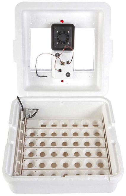 Deluxe Incubator with Egg Turner