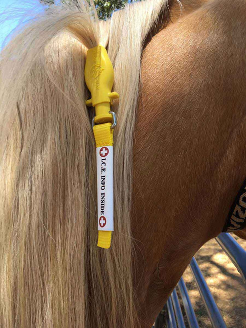 I.C.E. ManeStay Equine Emergency ID