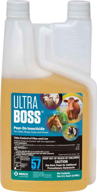 1 quart
