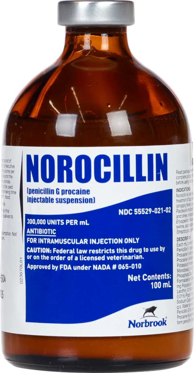 PENICILLIN 切り抜き　会報など Norocillin Penicillin G Procaine Injectable for Cattle, Sheep, Swine a