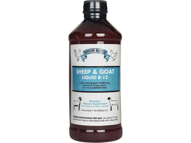b12 injection valley vet High Level Vitamin B Complex for Animal Use Generic (brand may vary) Avoid exposure to light. Copper Peptide Serum AHK-Cu Buffaloes Pack Size:Single