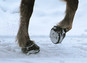 Simple Regular Horse Hoof Boots