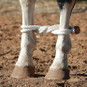 Rope Hobble