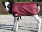 Burgundy 24 in
