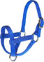 Blue Buck
