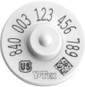 2600 ct