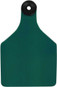 Green/White Center