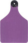 Purple/White Center