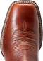 Royal Brown