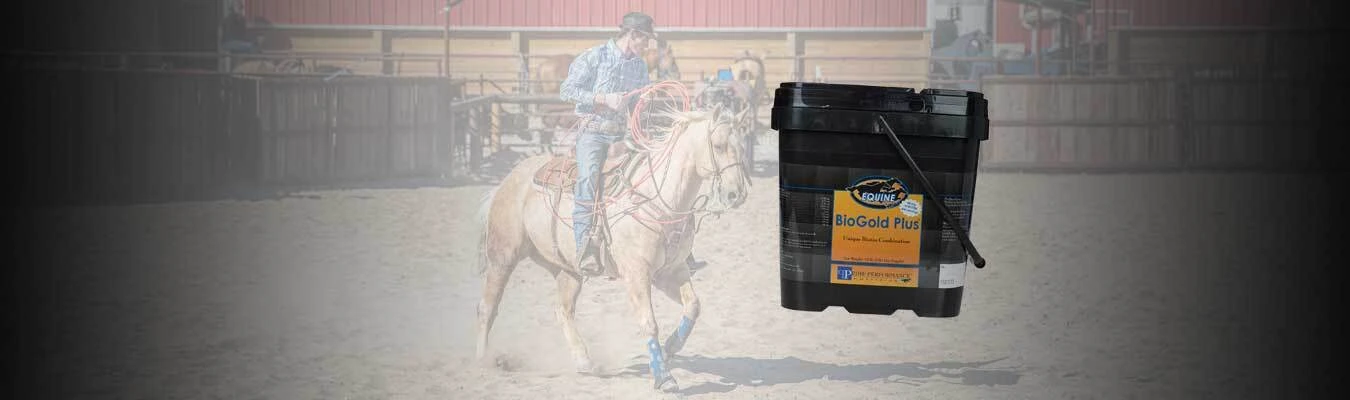 Save 20% on Prime Performance Nutrition Supplements!  Valid through 10-31-26.