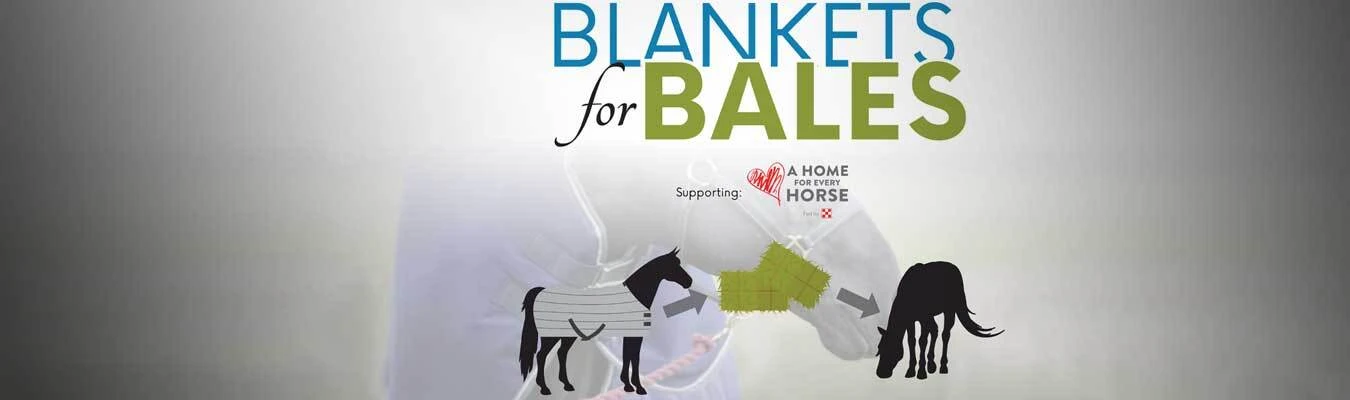 Valley Vet and WeatherBeeta teamed up to support A Home For Every Horse this winter with the Blankets For Bales program.