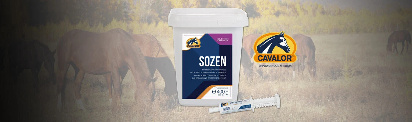 BE PREPARED FOR SPOOKY SEASON  -  Keep your horse calm, focused & confident with Cavalor calming support.