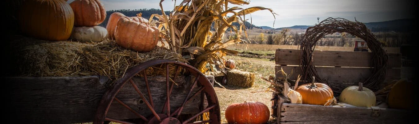 Fall Gratitude Giveaway – 20 Prizes, Over $6,000 in Total Value. October 1 – November 30.