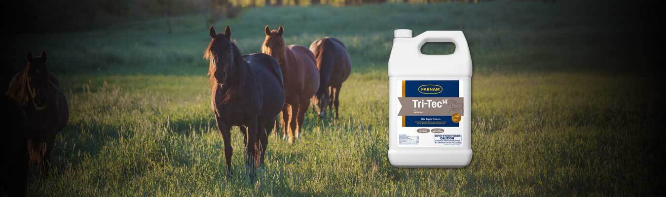 Save 20% on Farnam Tri-Tec 14 Fly Repellent Gallons