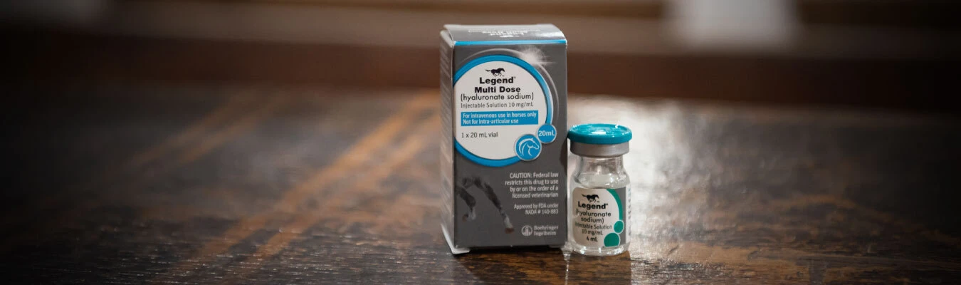 Legend (Hyaluronate Sodium) - Injectable solution ensures accurate administration