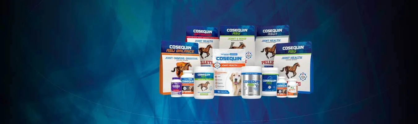 Nutramax for Equine + Pet + Human -  Shop 2 Categories, Save 20% • Shop All 3, Save 40%