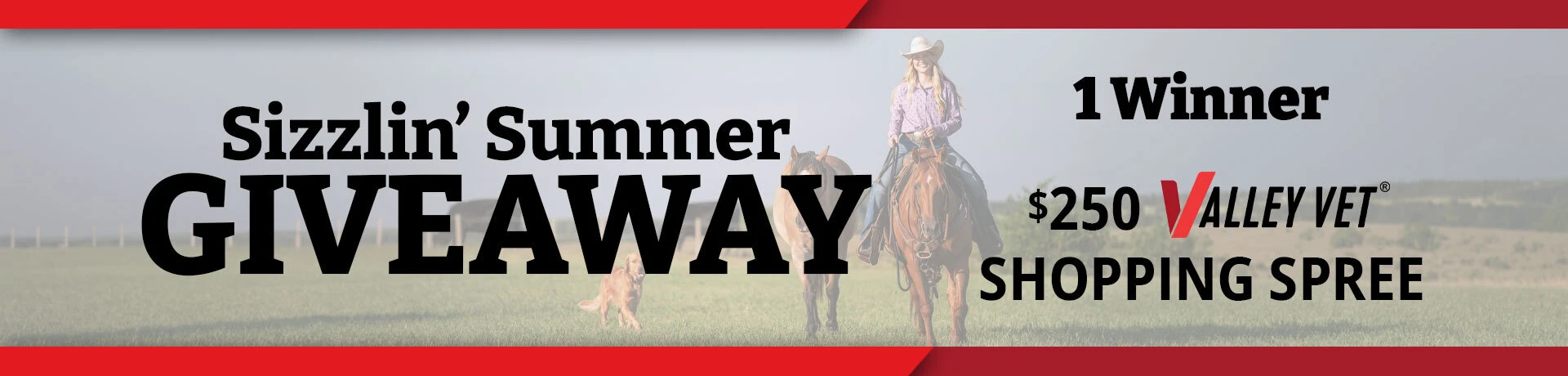 Sizzlin' Summer Giveaway - Win a $250 Valley Vet Supply Shopping Spree