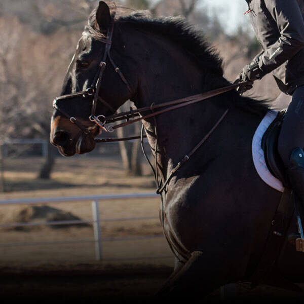 Horse Metabolic Care