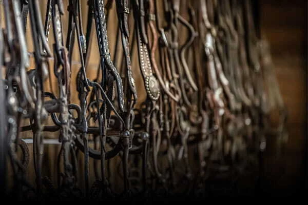Horse Tack & Supplies