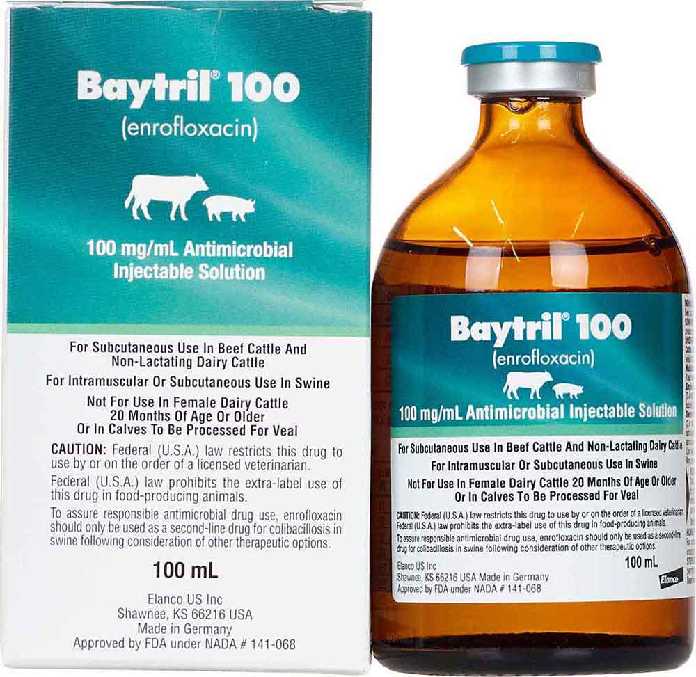 azium baytril b12 injection 100 Injectable 100 ml for livestock by Bayer Animal Health Baytril antibiotic