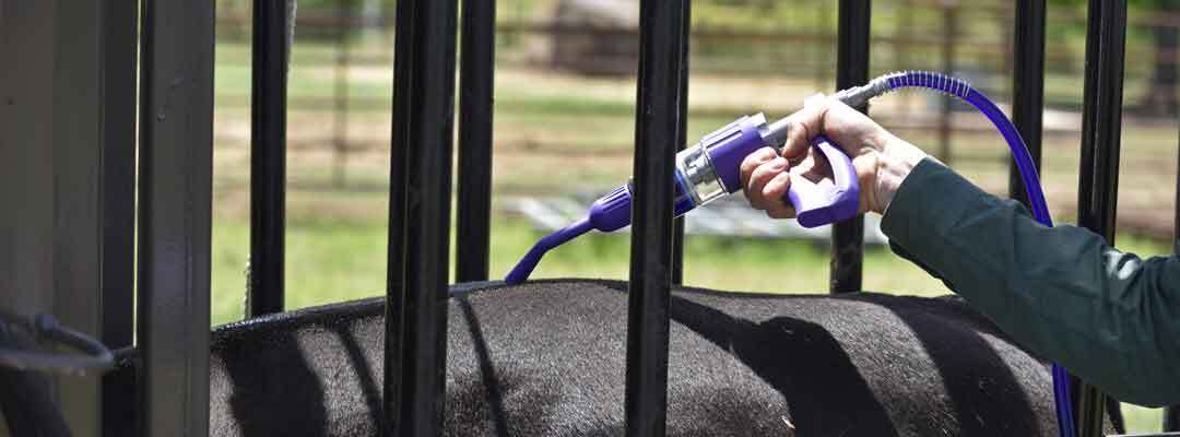 cattle-pour-on-wormer-calculator.jpg