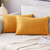 Set of 2 Cushions with Premium Plain Velvet Covers Included - 30x50cm