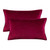Set of 2 Cushions with Premium Piped Velvet Covers Included - 30x50cm