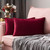 Set of 2 Cushions with Premium Piped Velvet Covers Included - 30x50cm