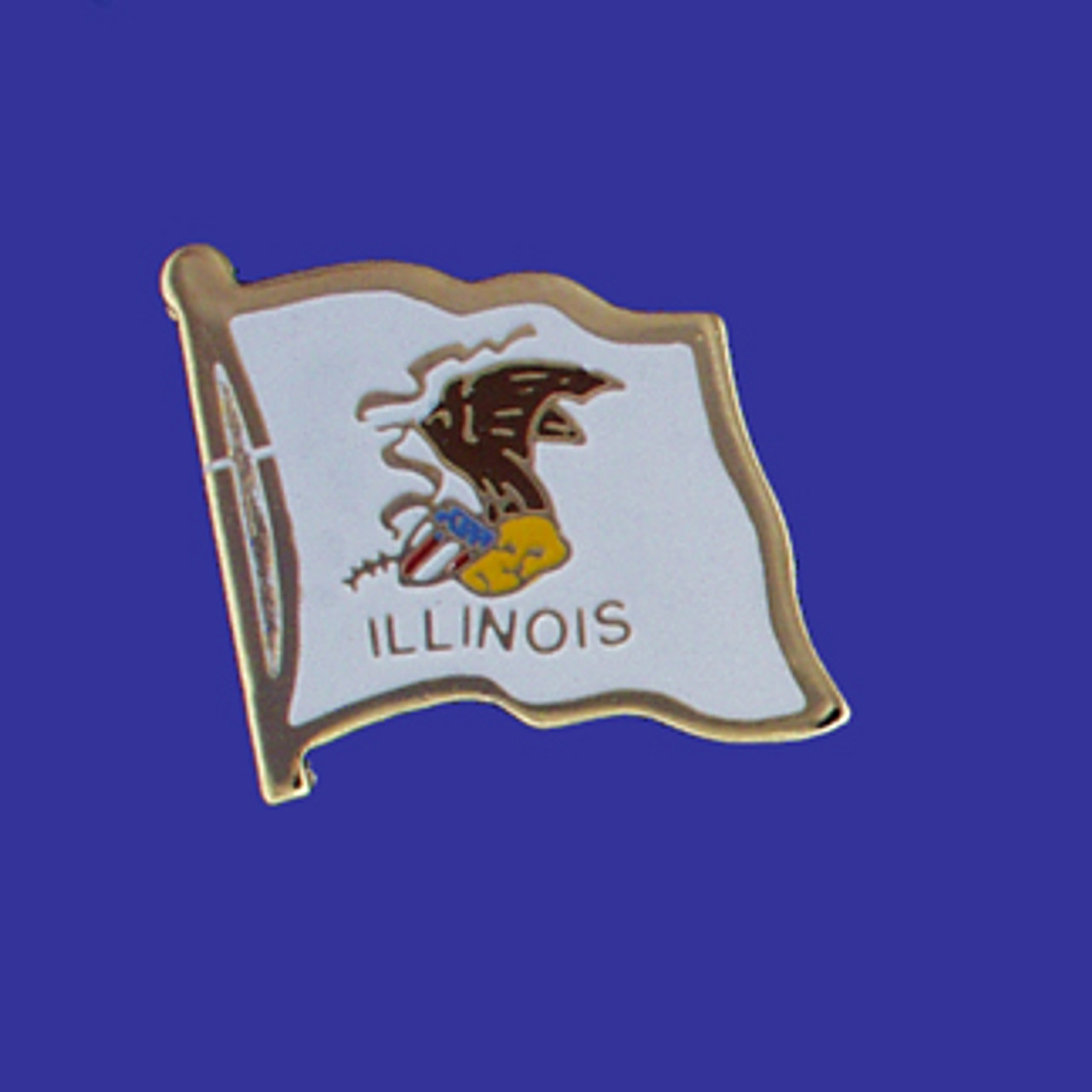 Pin on Illinois