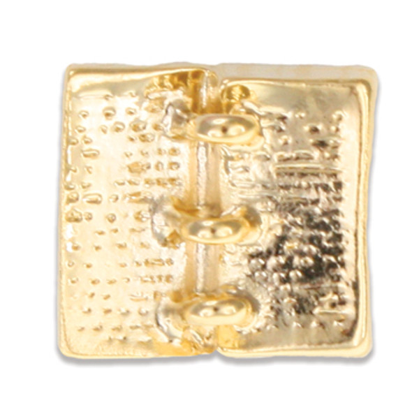 Golden Plates Pin