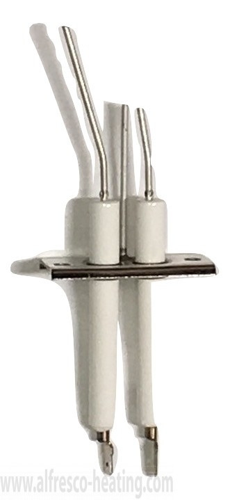 Schwank JX0204-XX Electrode Assembly