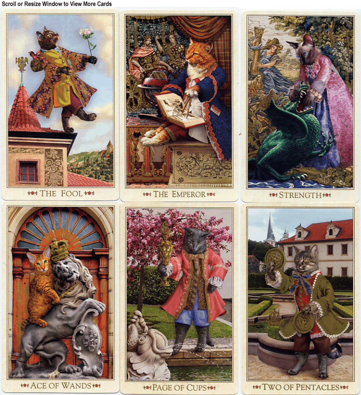 The Baroque Bohemian Cats Tarot Gold Edition The Tarot Garden