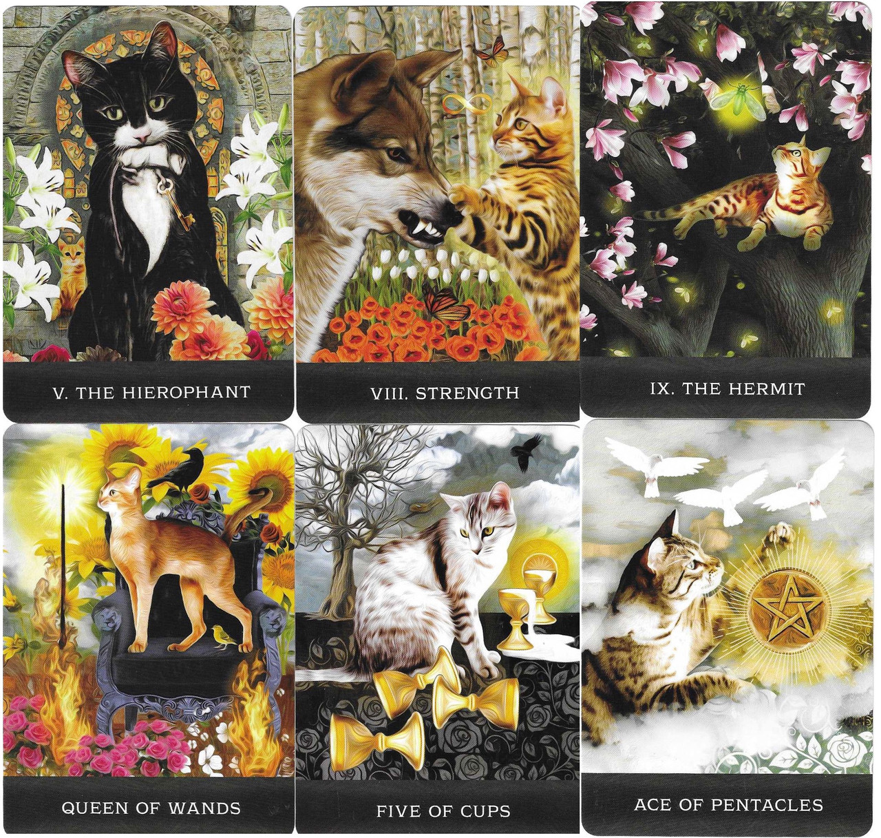 Grimalkin's Curious Cats Tarot - The Tarot Garden