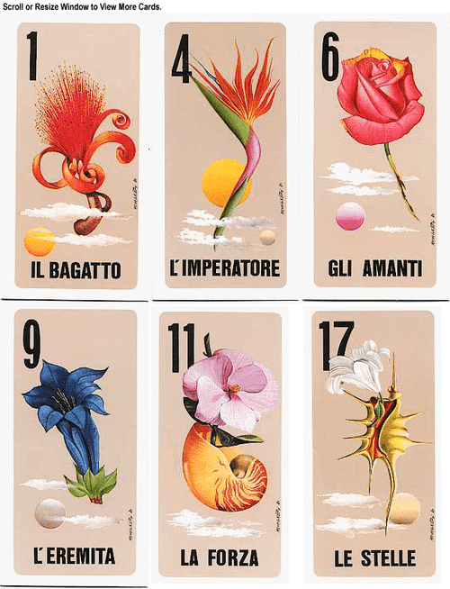 i Fiori Divinatori