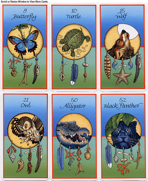 Medicine Cards (revised edition) - The Tarot Garden
