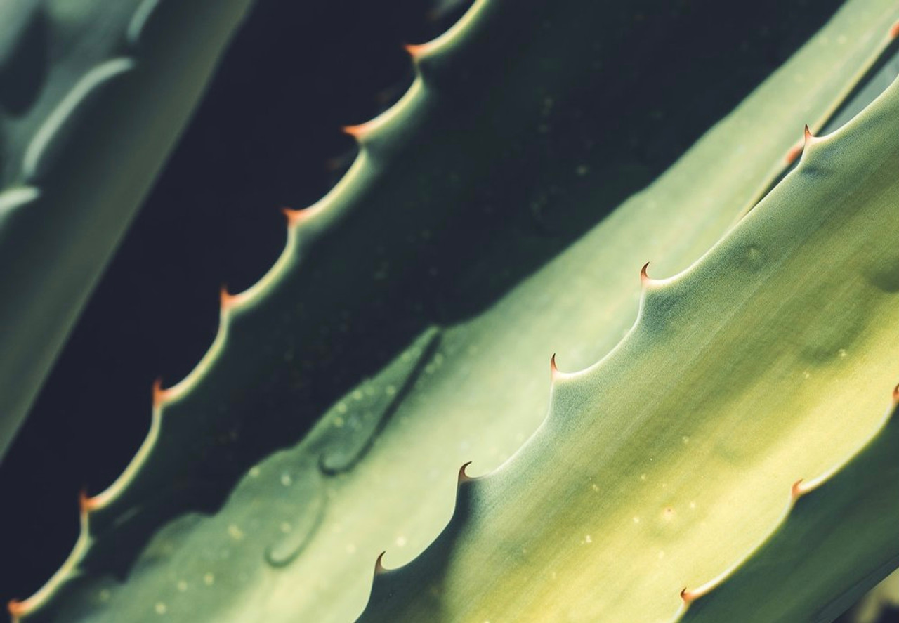 A Journey of Beauty: Hair & Skin on-the-go