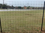 Graduated Black Fixed Knot Fence