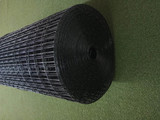 1x2 Black Welded Wire Fence